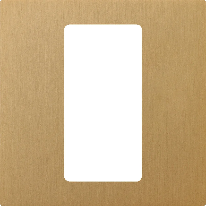 Track lighting for creating a focal pointLutron Pico Plate 1G Brass