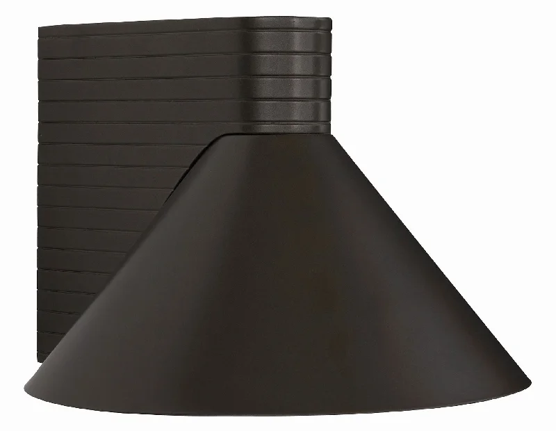 Track lighting for illuminating walkwaysChadwick Outdoor Dark Sky Wall Sconce