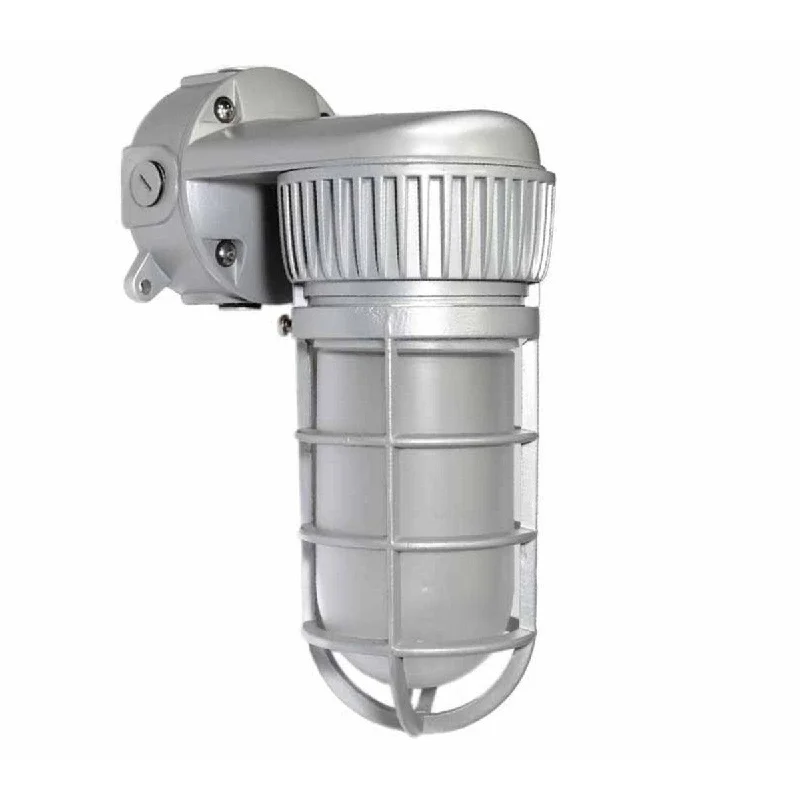Industrial Flood Lighting for Outdoor Loading DocksLED Jelly Jar Light Fixture, 19 Watts, 1810 Lumens, 5000K, 120-277V