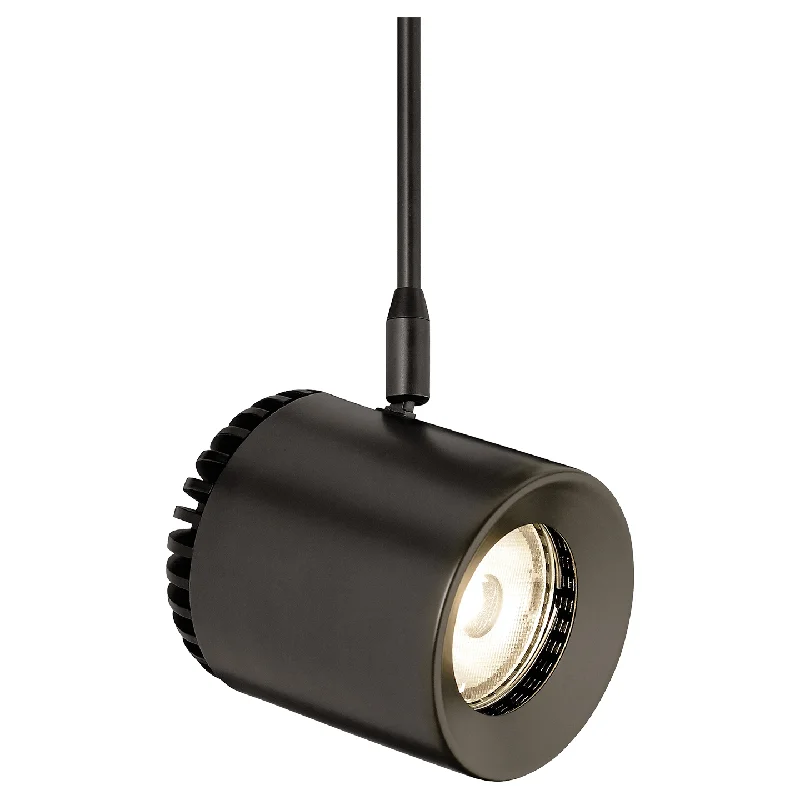 Track lighting for creating a focal pointBurk Head FreeJack 3"