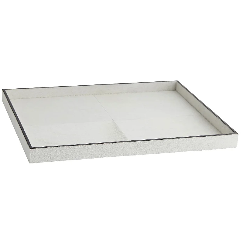 Track lighting for highlighting bookcasesCaspian Tray