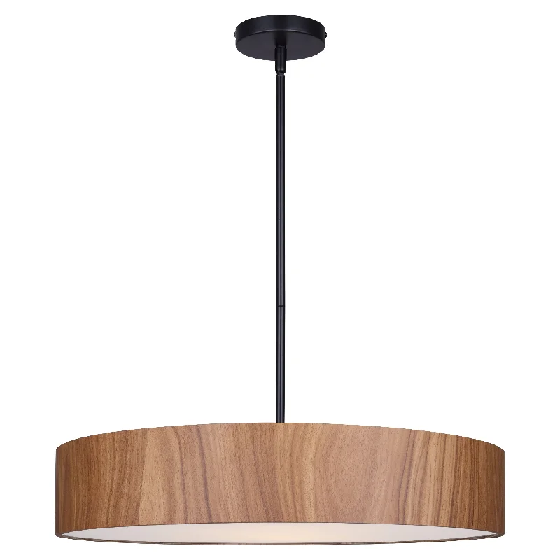 Track lighting with a minimalist track designDexter 4-Light Pendant